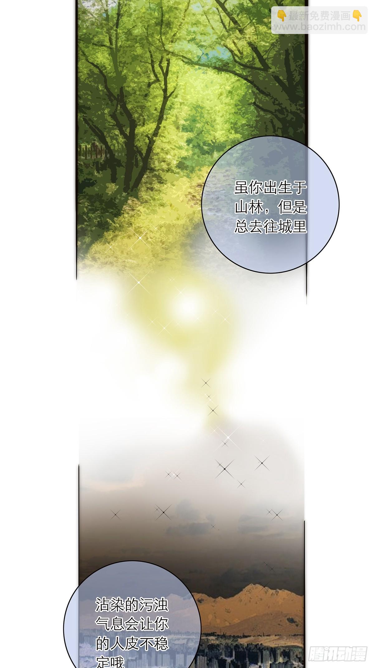 043 乌鸦还乡19