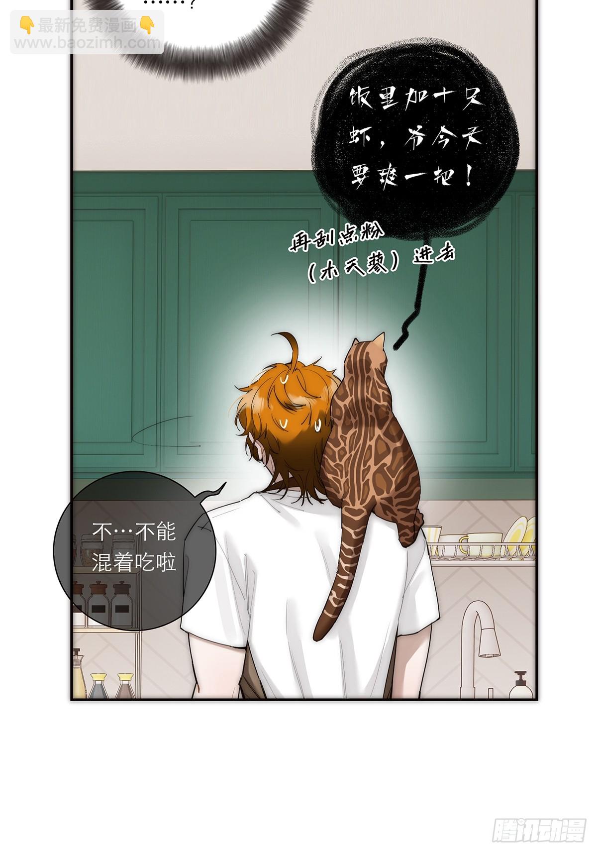 048 我们试试16