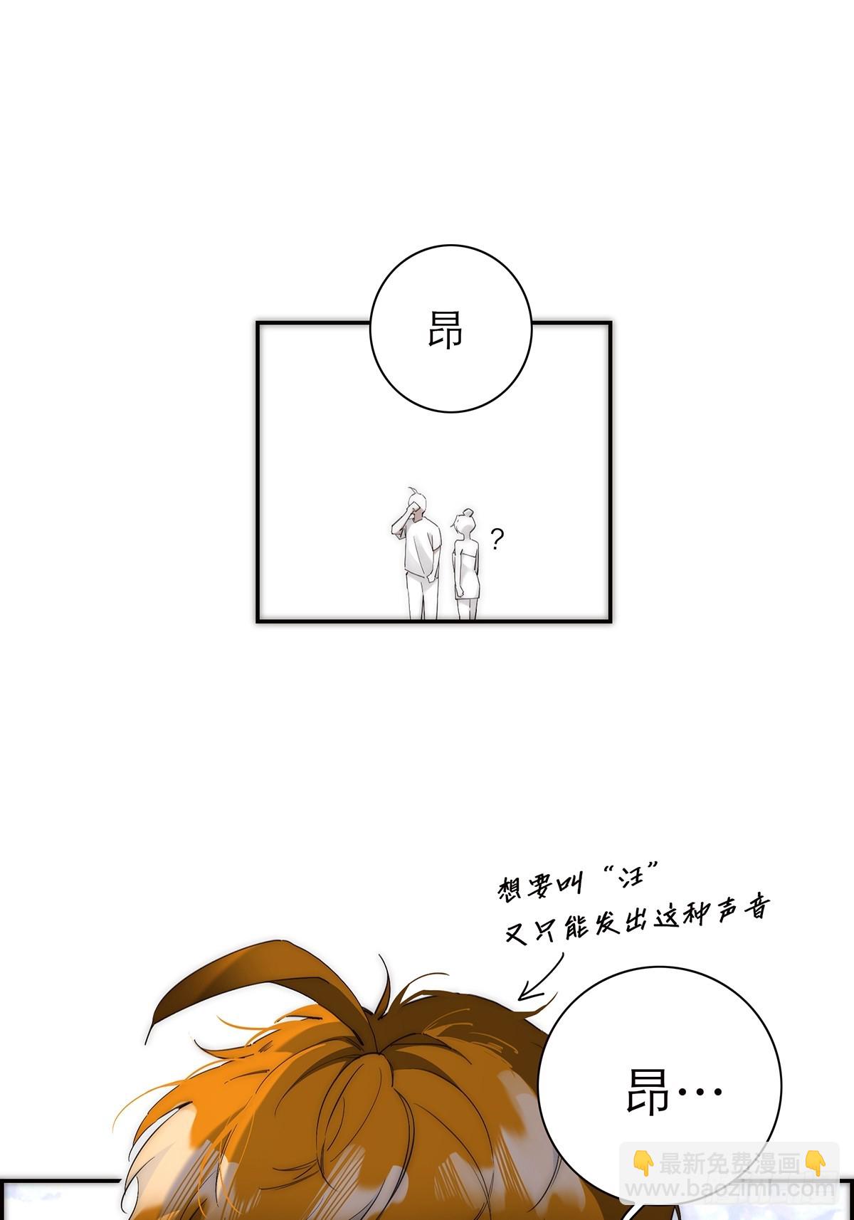 048 我们试试37