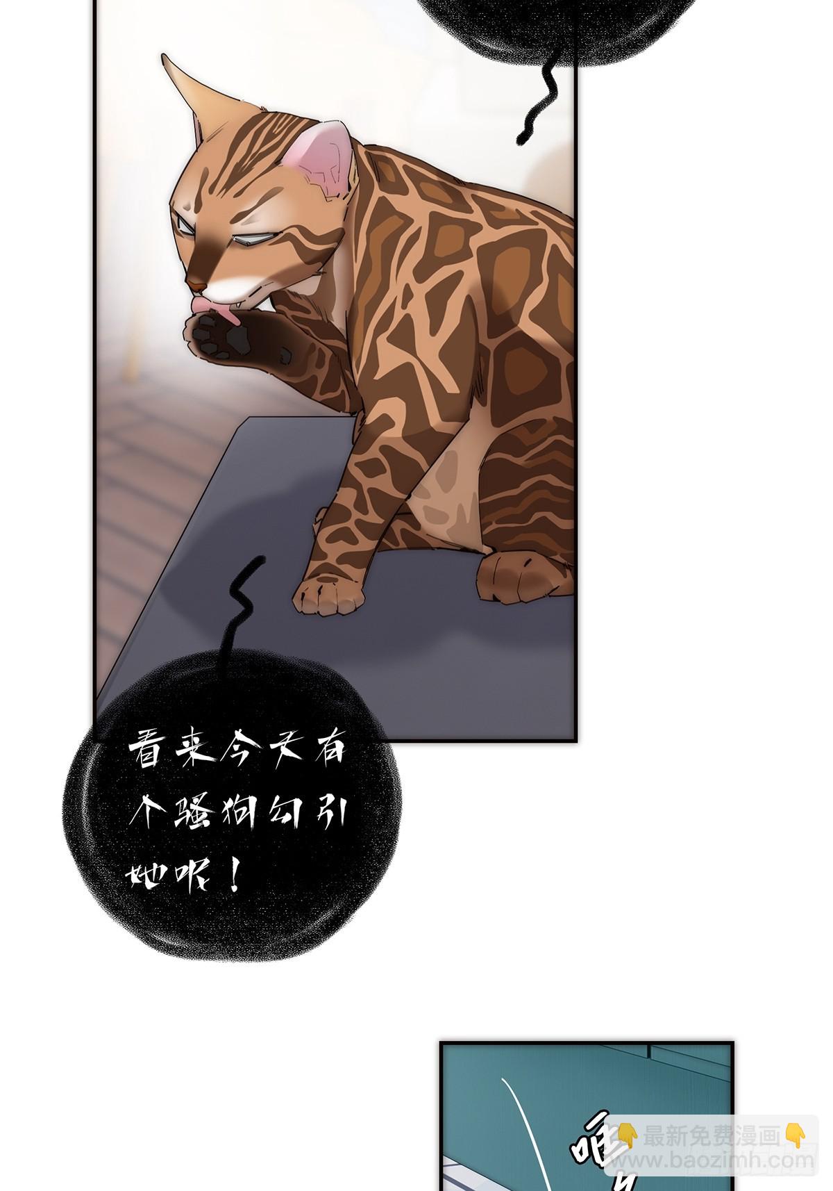 048 我们试试8