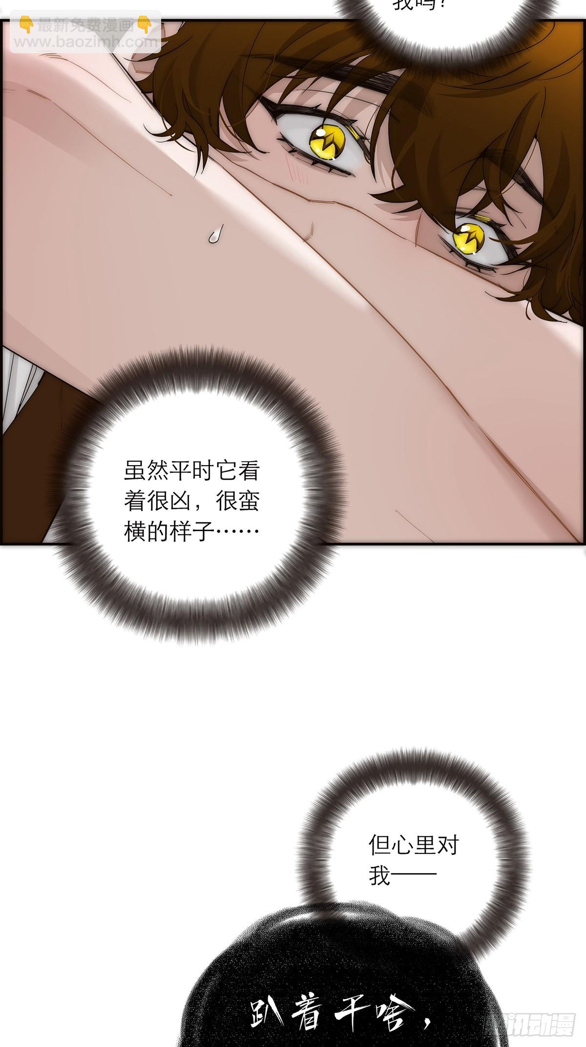 054 可疑36