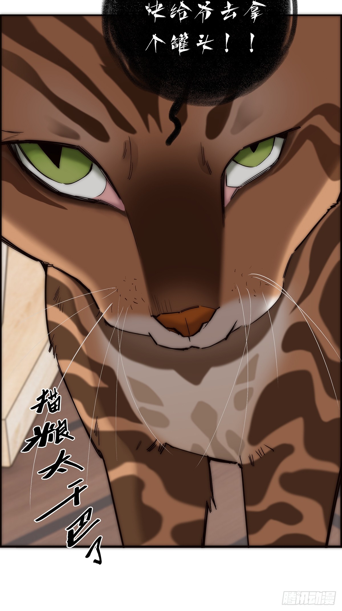 054 可疑37