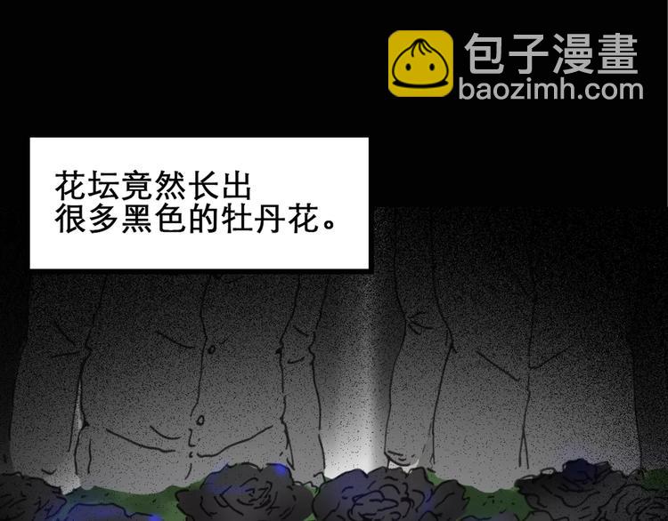 第19话 黑色牡丹花·照片759