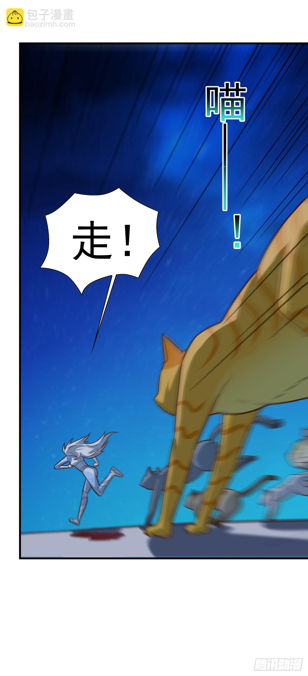 229 仙女龙6