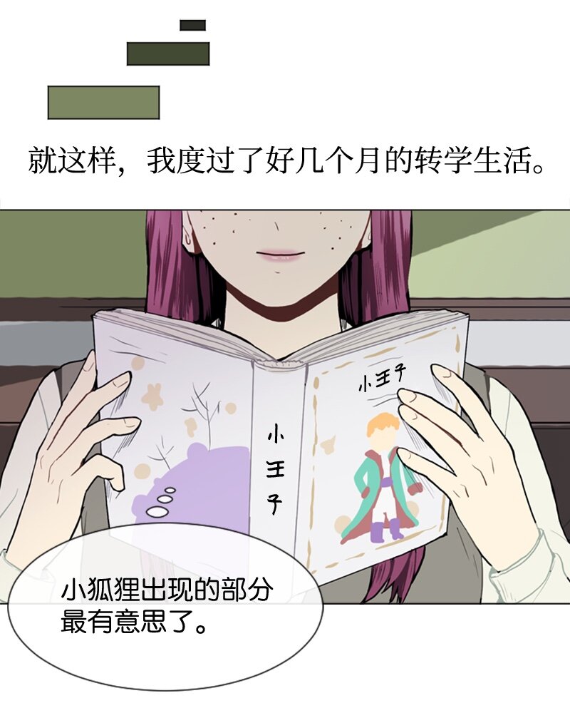 37 小王子与玫瑰花317
