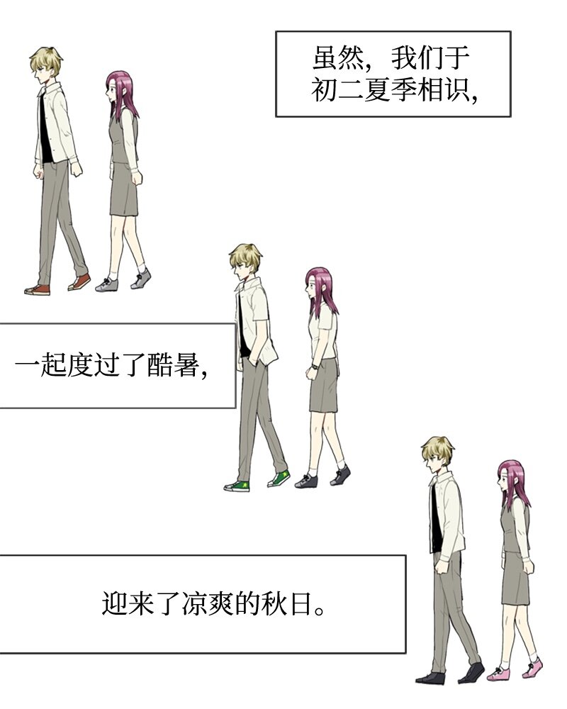 37 小王子与玫瑰花318