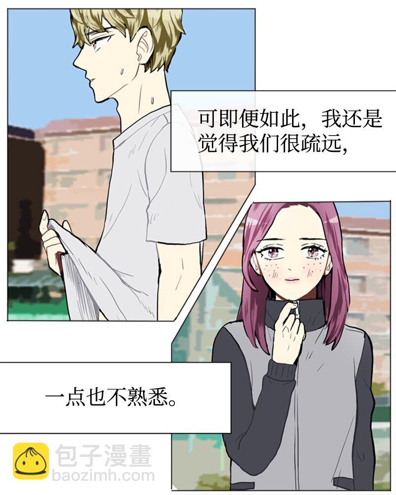 37 小王子与玫瑰花322