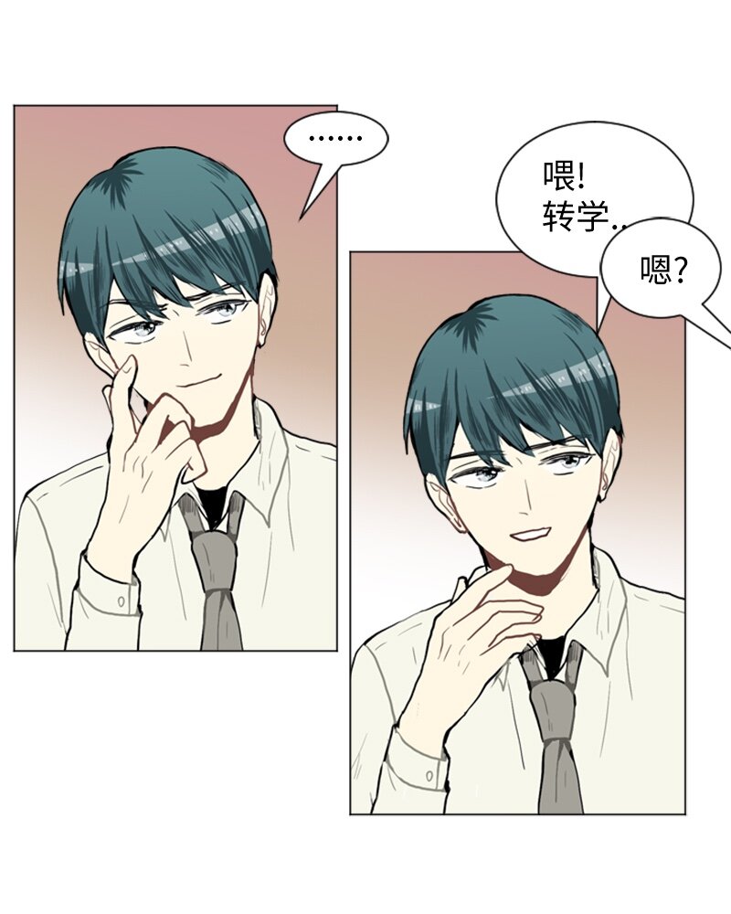 37 小王子与玫瑰花39