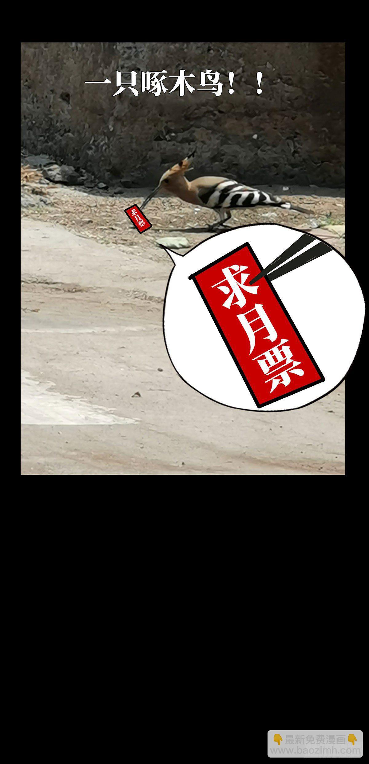 第六十二章/刀与盾上44