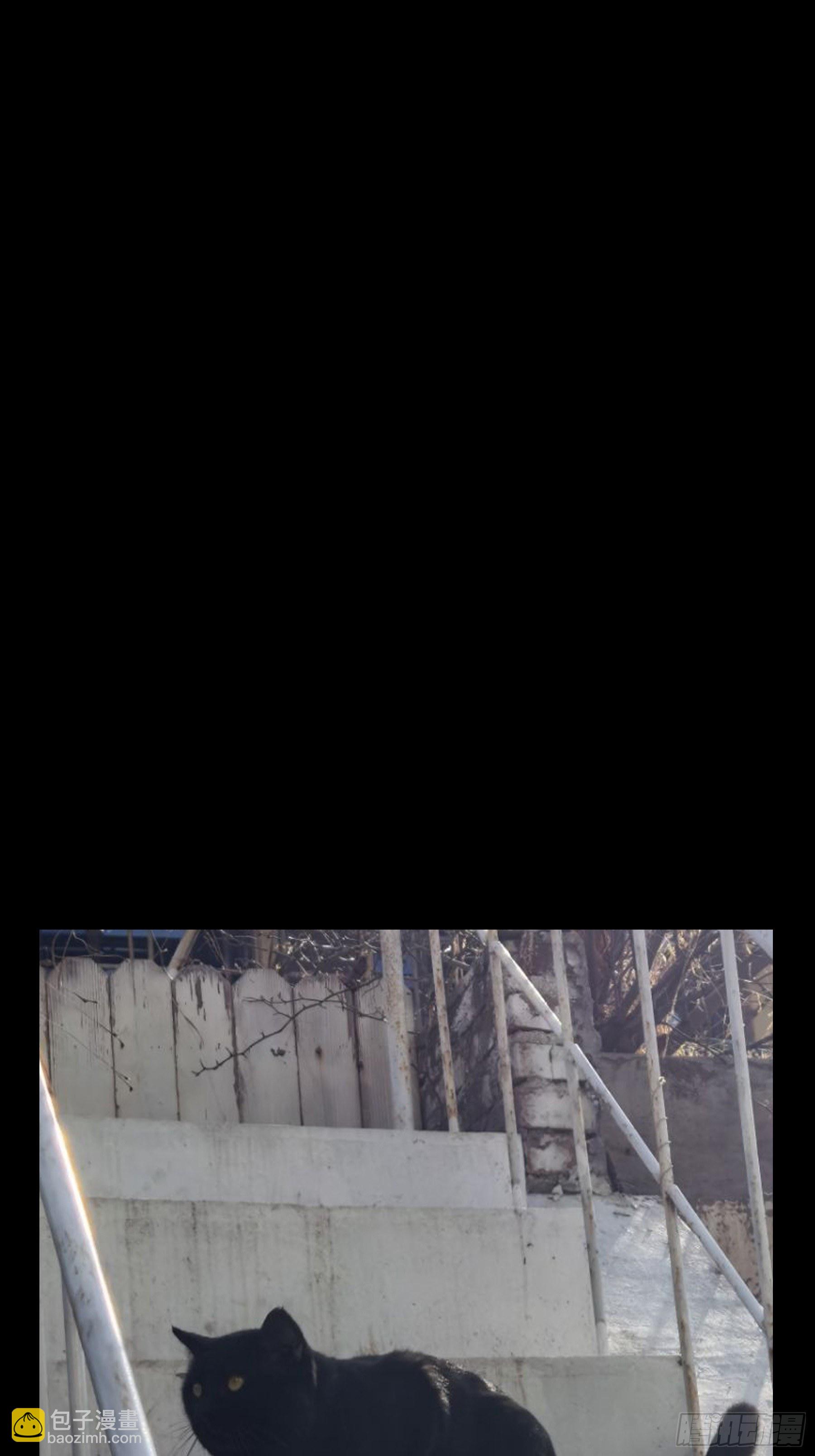 第一百一十九章/对手上49