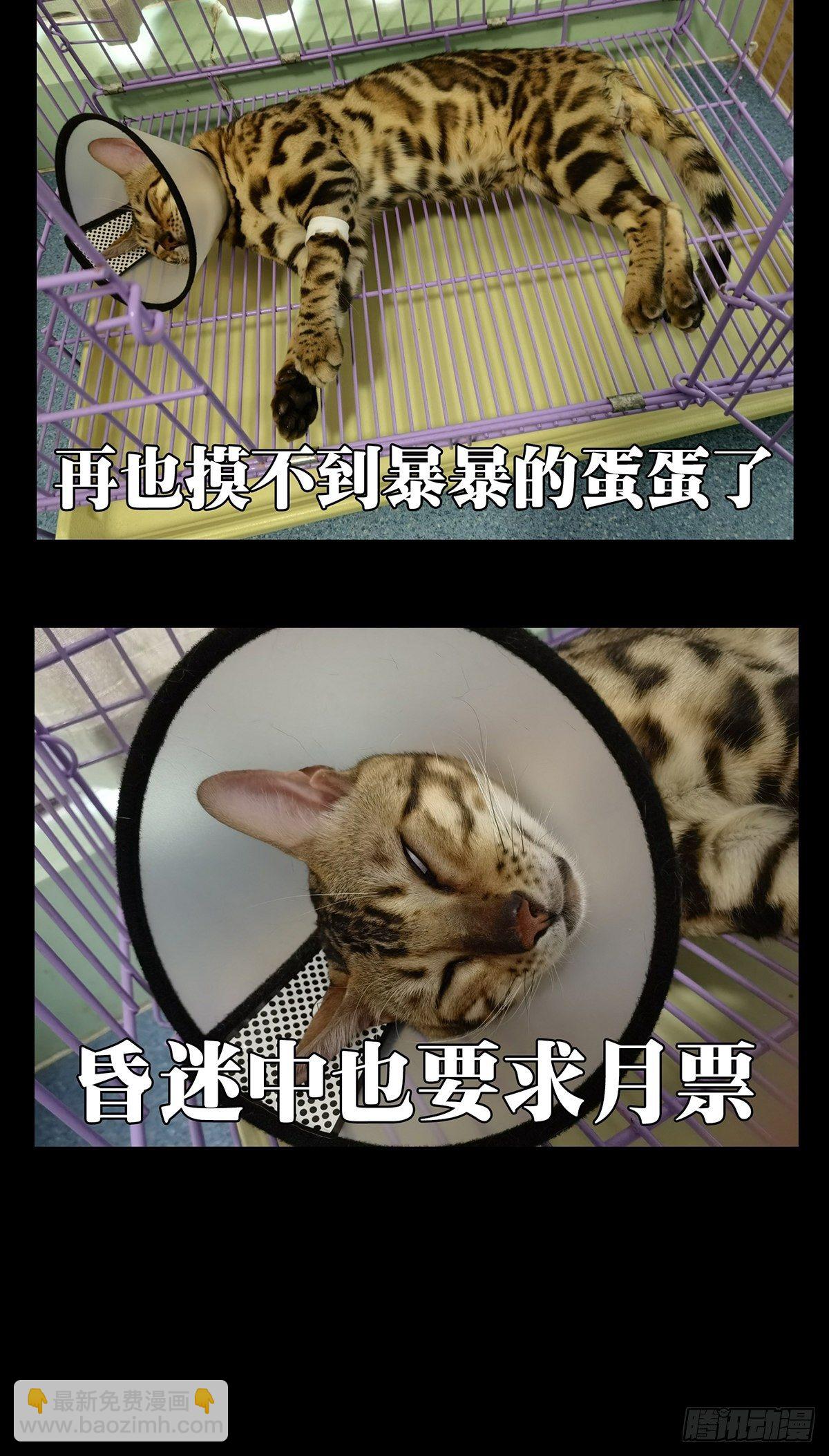 第一百四十四章/舍命中38