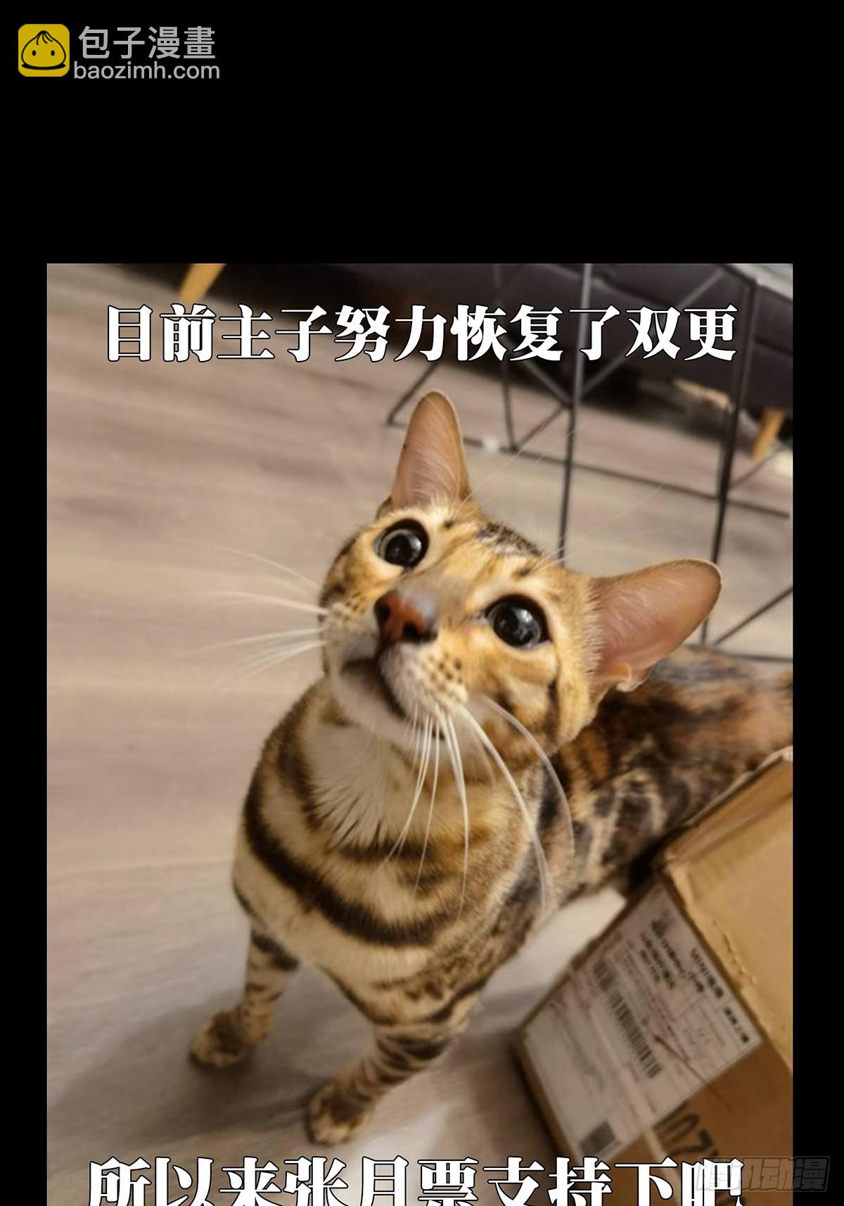 第一百八十九章/反击中46