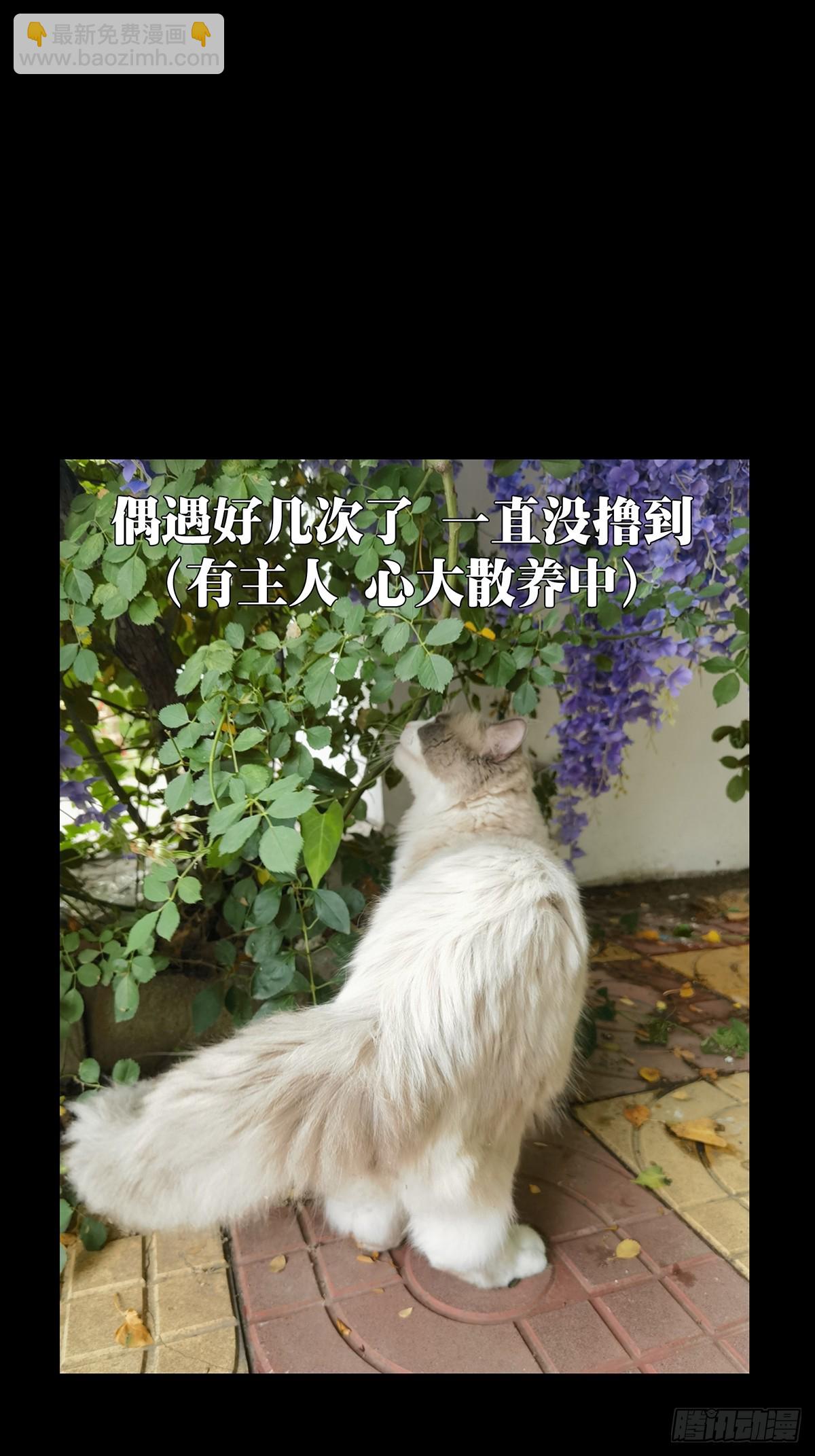 第三百二十五章/活下去中43