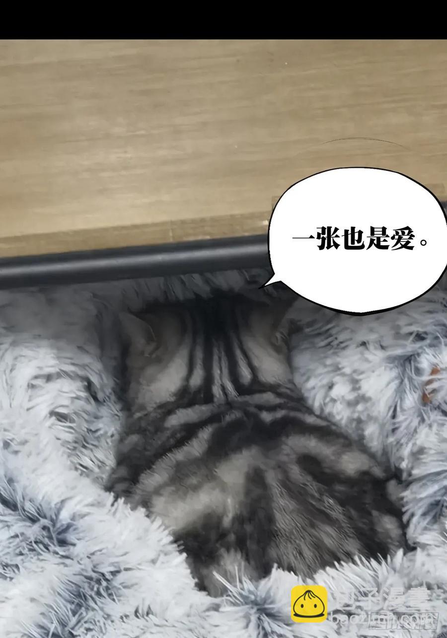 第三百七十八章/六雷上60