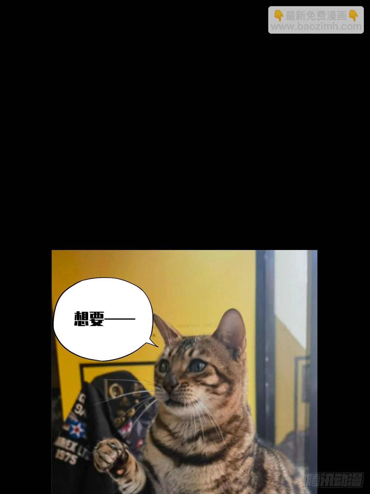第三百九十四章/腐朽枯木中61