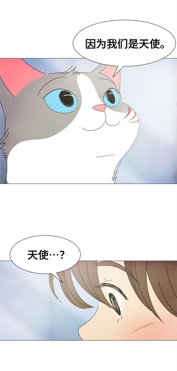 第2话 只要可爱都是小天使5