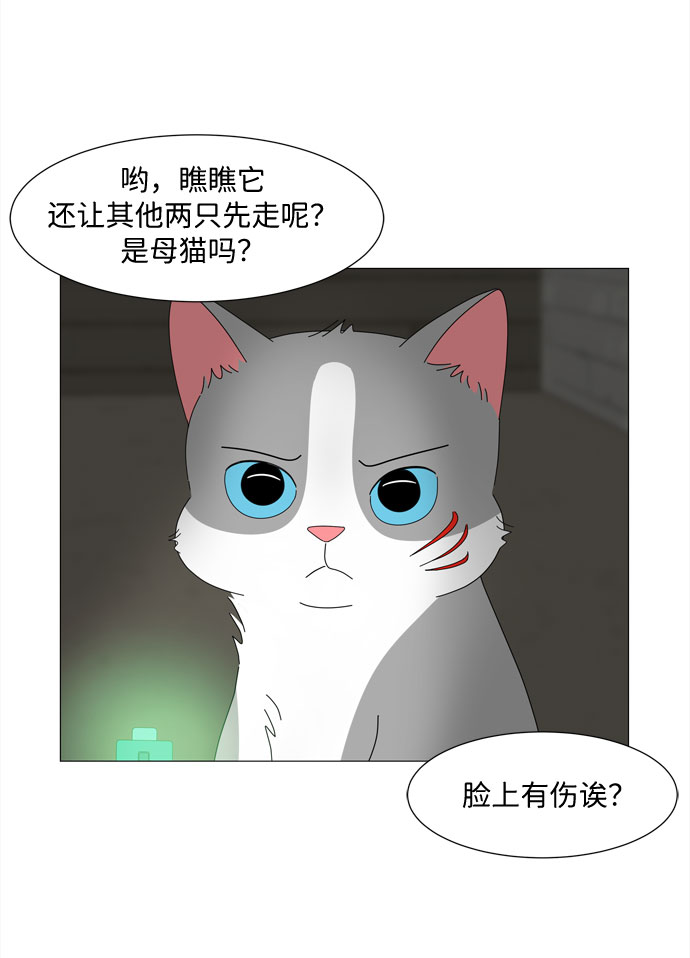 第10话 找到蓝色灵魂（1）23