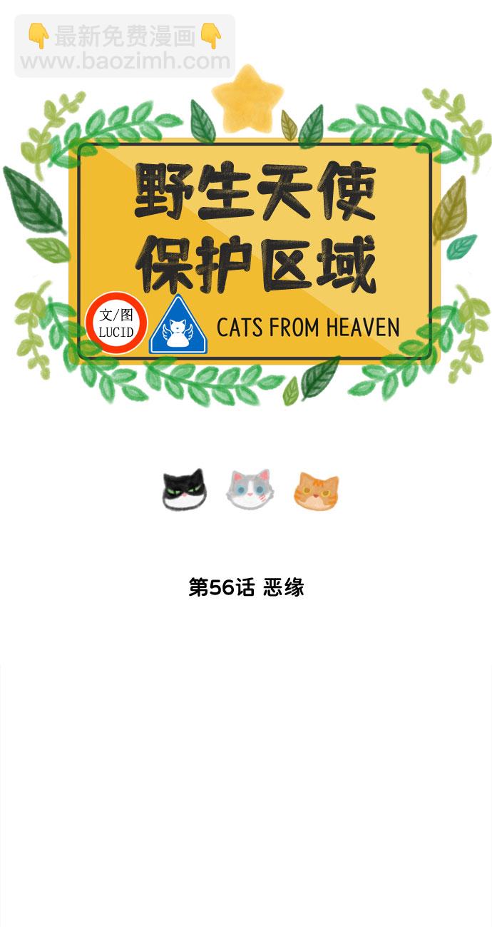 第56话 恶缘3