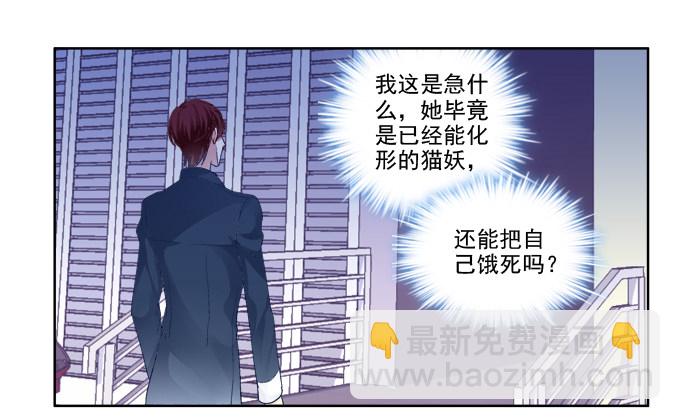 猫咪爱吃鱼11