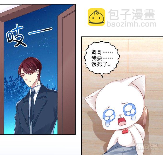 猫咪爱吃鱼12