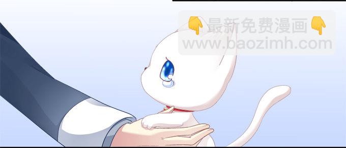 猫咪爱吃鱼13