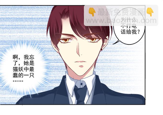 猫咪爱吃鱼15