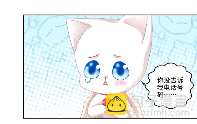 猫咪爱吃鱼16