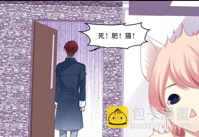 猫咪爱吃鱼22