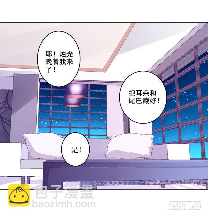 猫咪爱吃鱼29