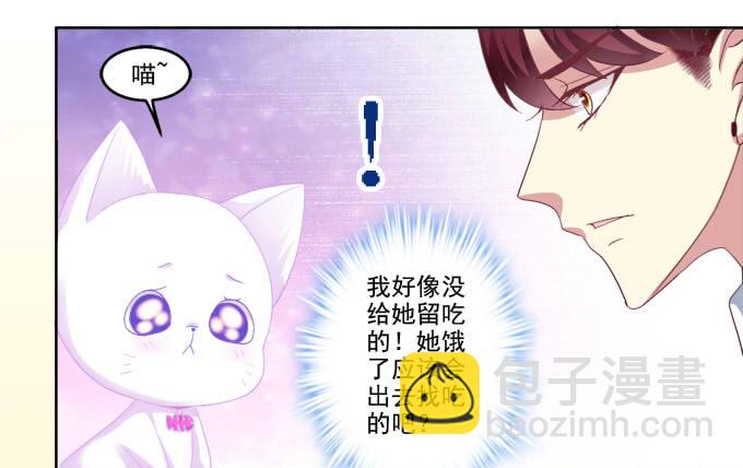 猫咪爱吃鱼6