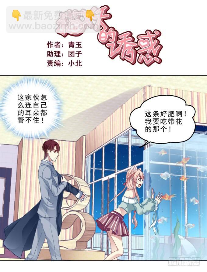 前世的记忆1
