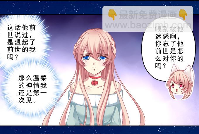 前世的记忆26