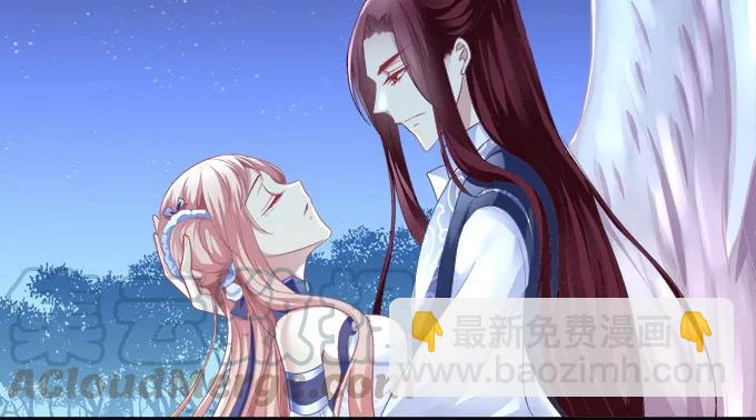 伤别离24