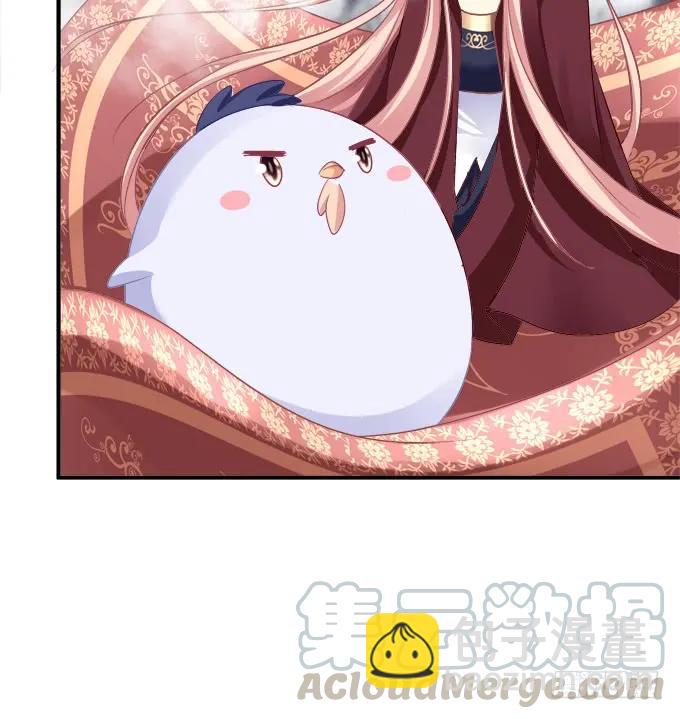 凤凰冢十三16