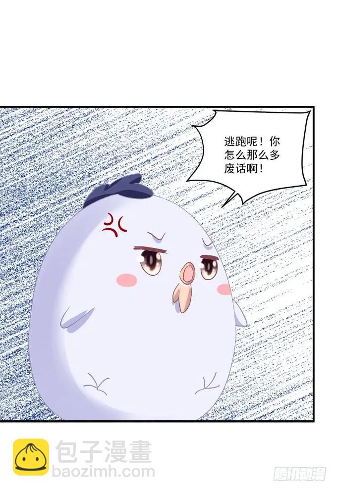 凤凰冢十三25