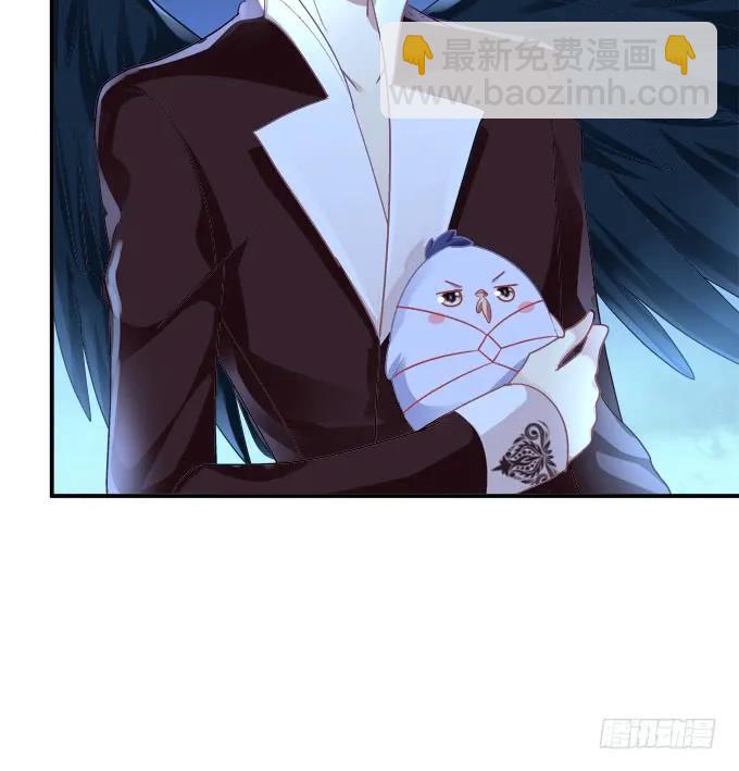 凤凰冢十三37