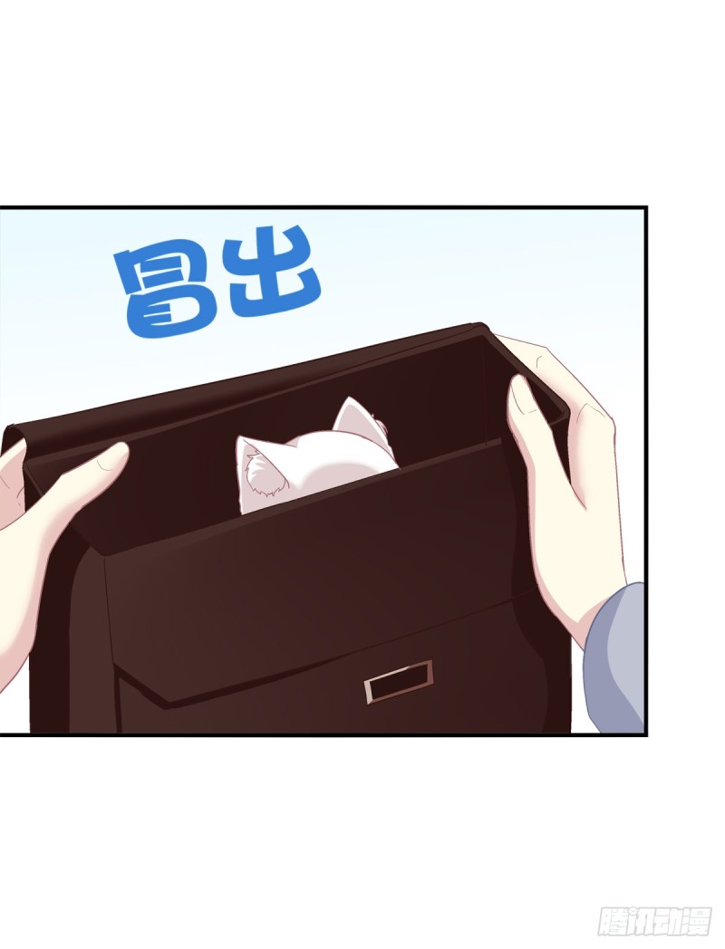 沈墨卿是个渣男！23
