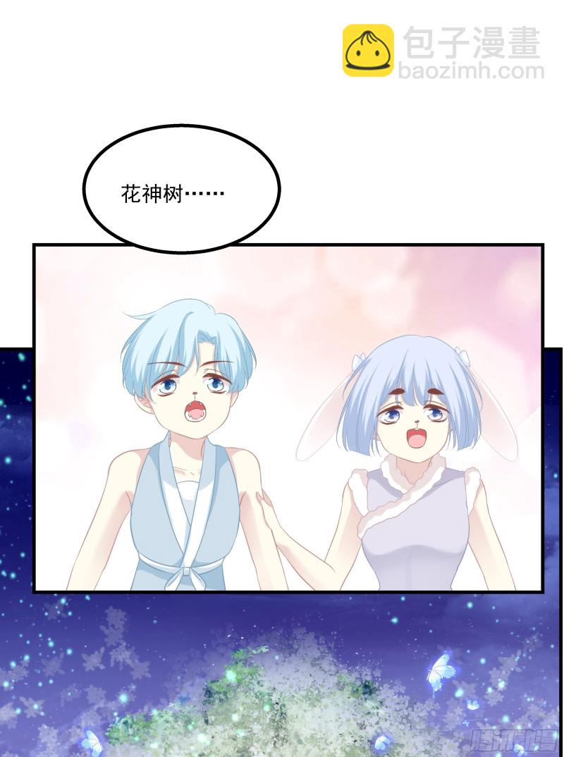 是谁带走了猫儿？！15