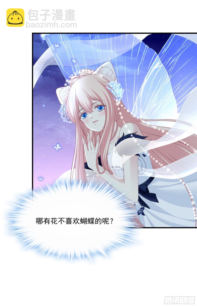 是谁带走了猫儿？！17