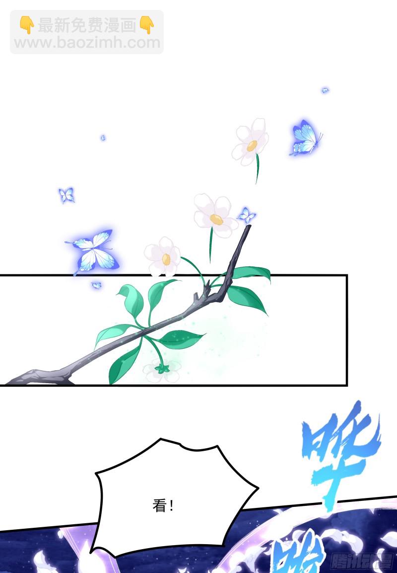 是谁带走了猫儿？！19