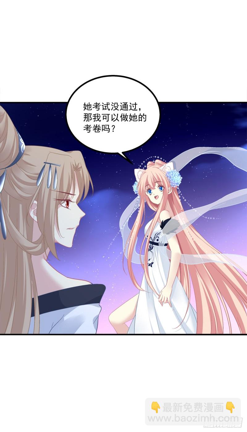 是谁带走了猫儿？！3