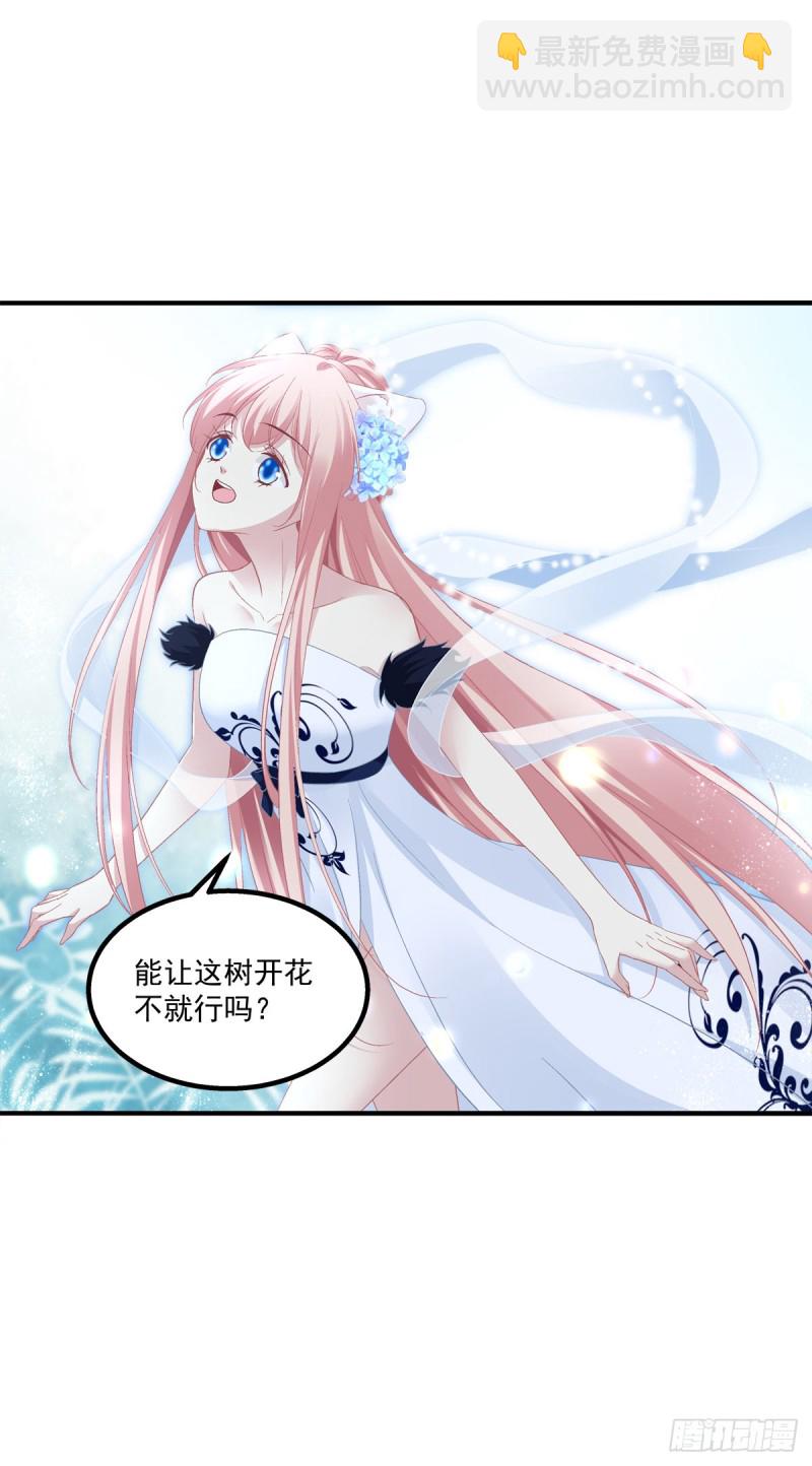 是谁带走了猫儿？！5