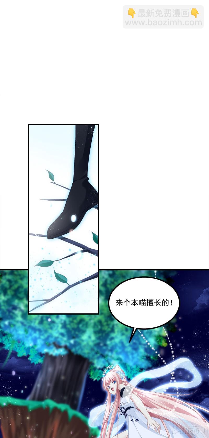 是谁带走了猫儿？！6