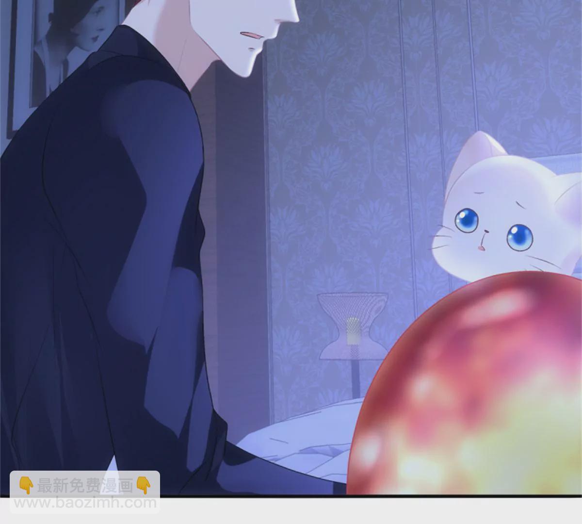 第411话 蛋里的世界。12