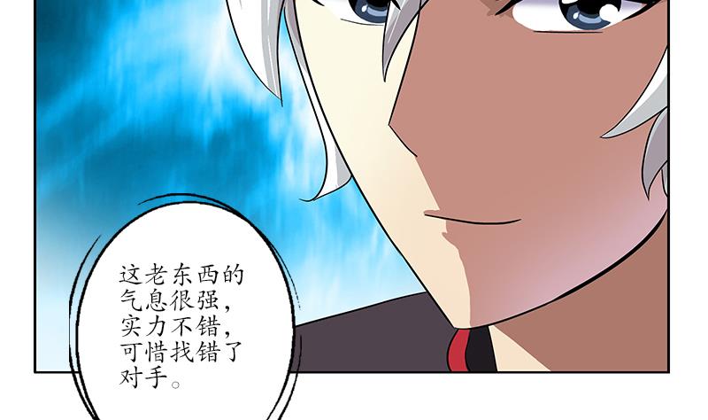 第218话 寒无道34