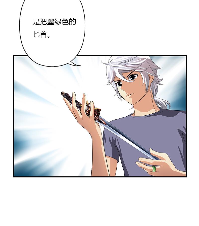 第411话 绿影之迷58