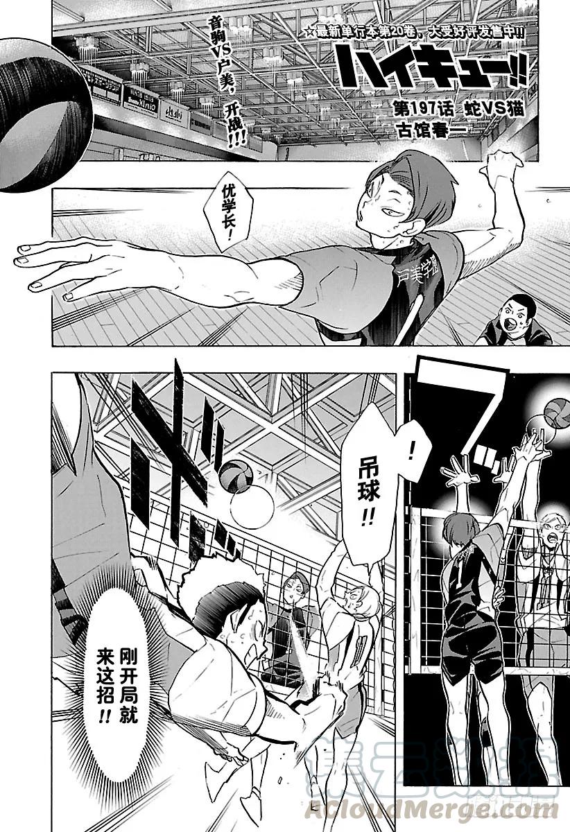 第197话 蛇VS猫0