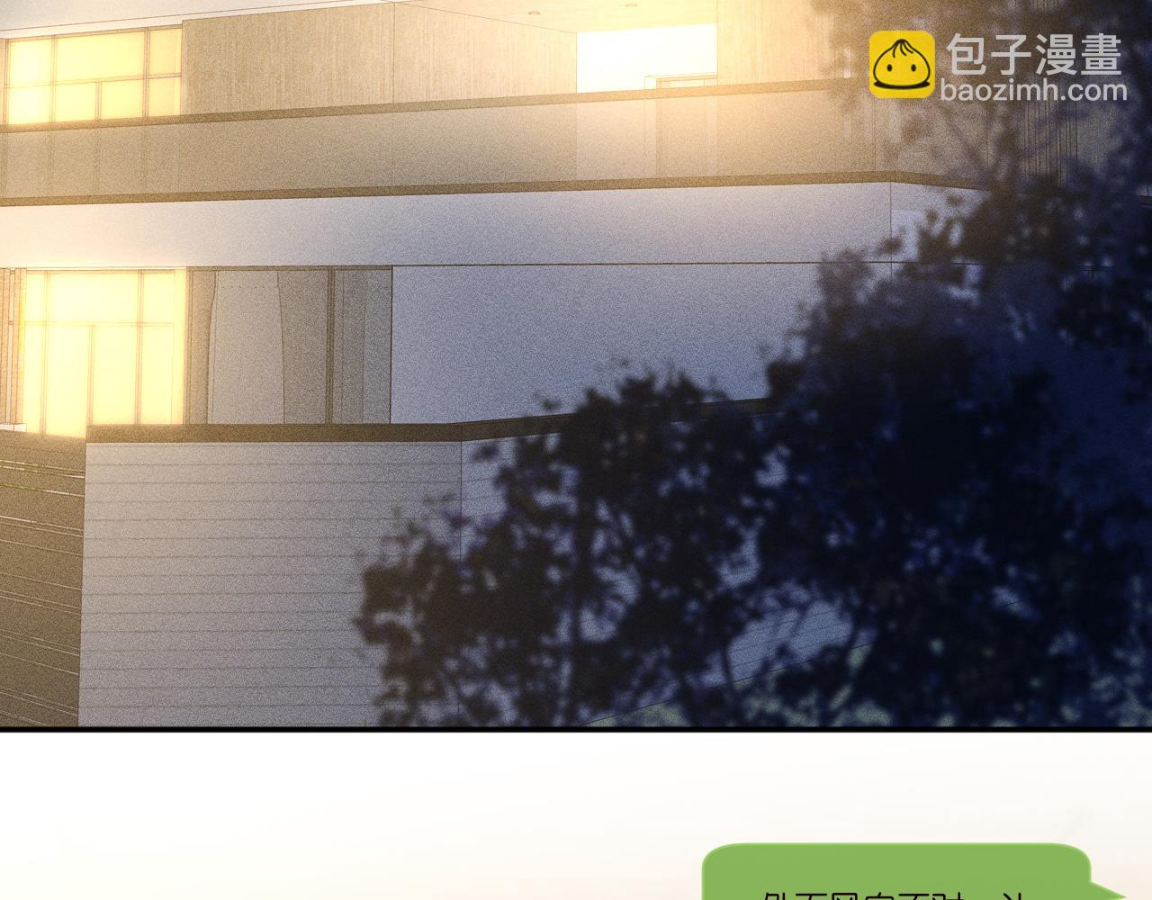 第245 冒牌货21