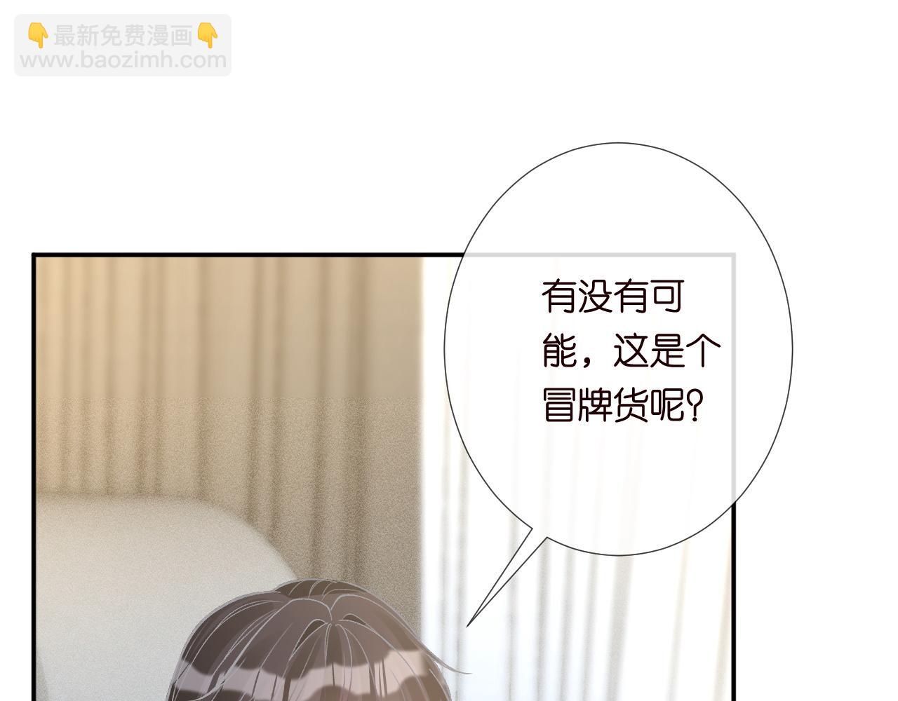 第245 冒牌货44
