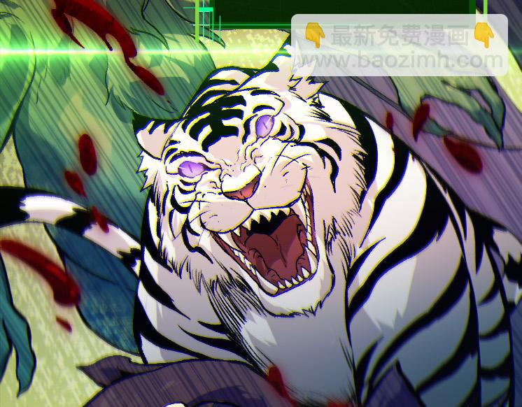 第41话 无数的进化点8